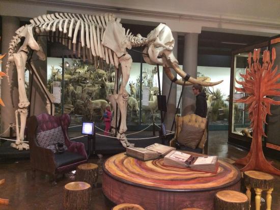 KwaZulu-Natal Museum